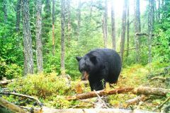 ???????????????????????????????????????????????????????????????????????????????????????????????????????????????????????????????